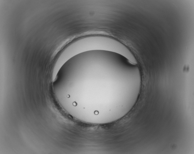 X0000112520112200909141232