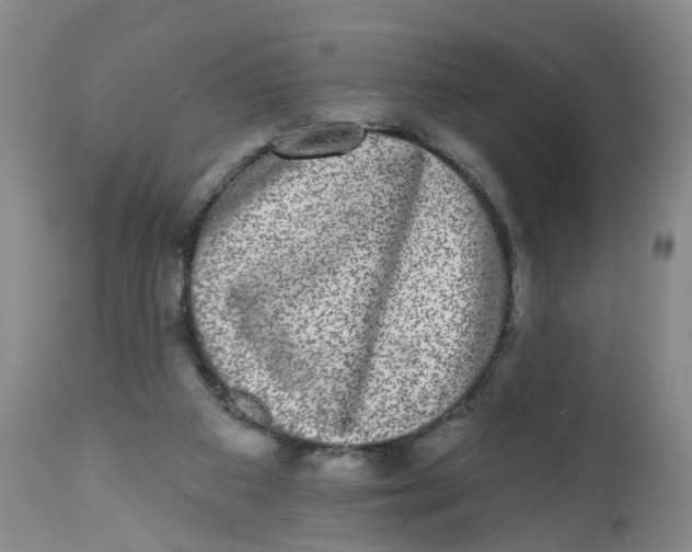X0000112520113200909141232