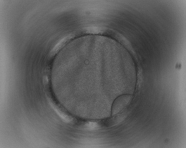 X0000112520114200909141232