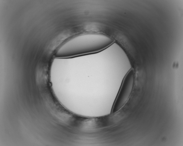 X0000112520116200909141232
