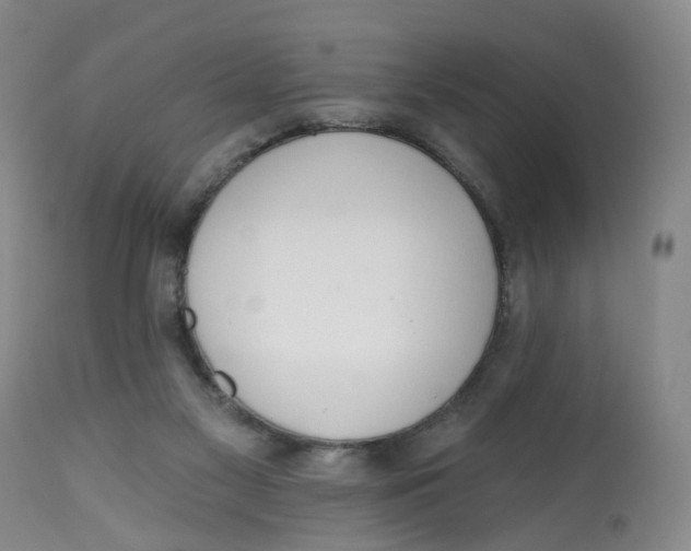 X0000112520117200909141232