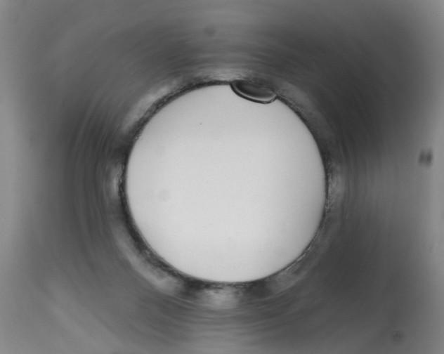 X0000112520120200909141232