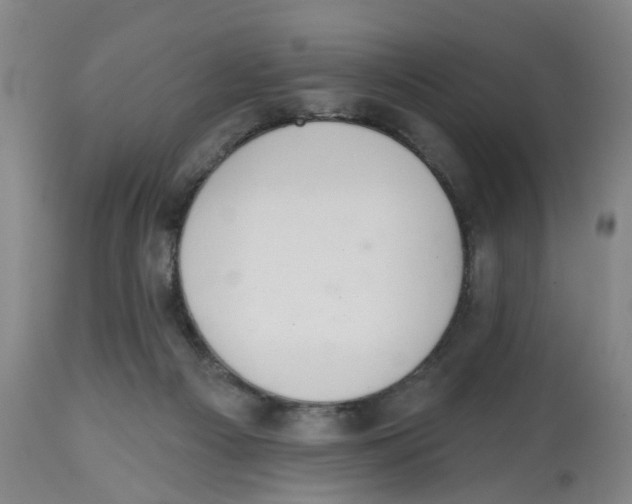 X0000112520121200909141232