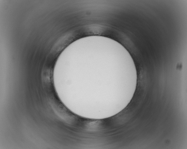 X0000112520122200909141232