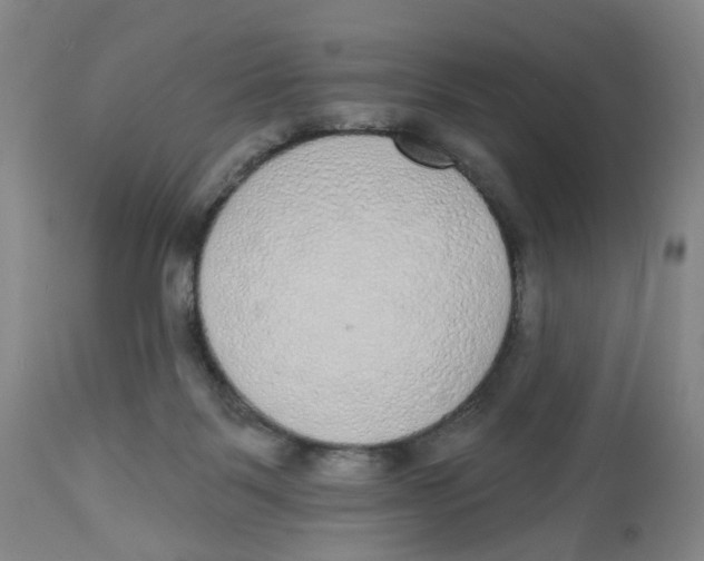 X0000112520123200909141232