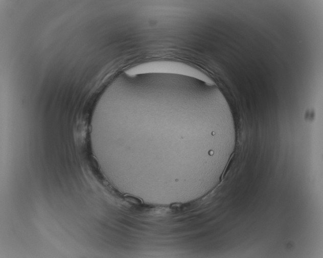 X0000112520124200909141232