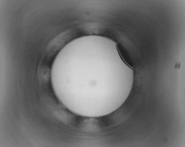 X0000112520125200909141232