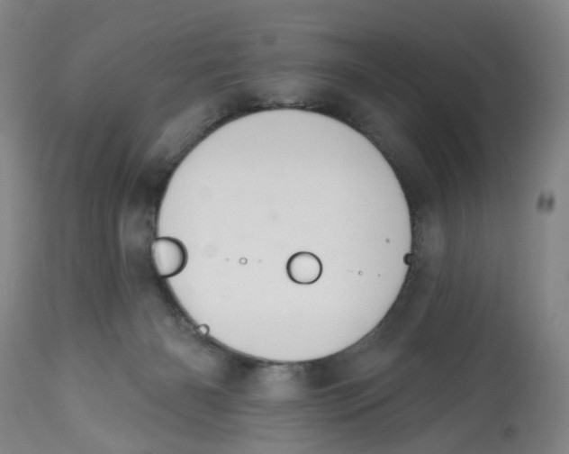 X0000112520126200909141231