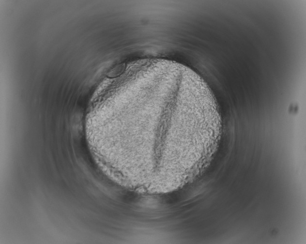 X0000112520127200909141231