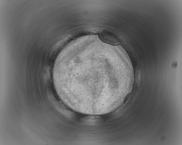 X0000112520128200909141231