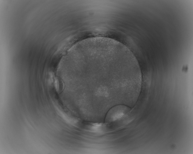 X0000112520130200909141231