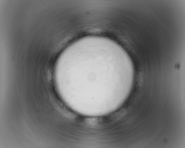 X0000112520131200909141231