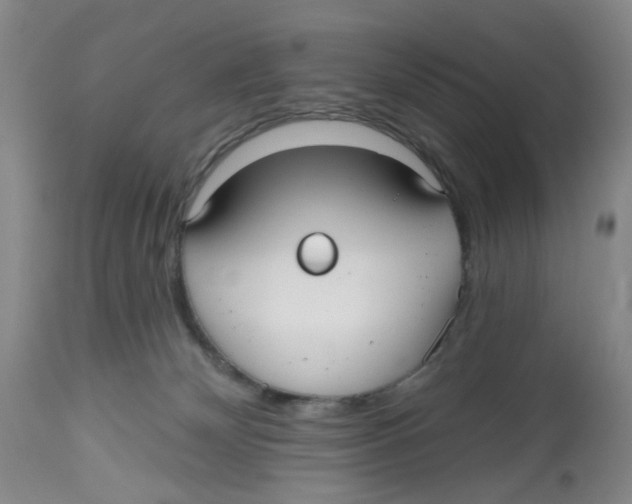 X0000112520132200909141231
