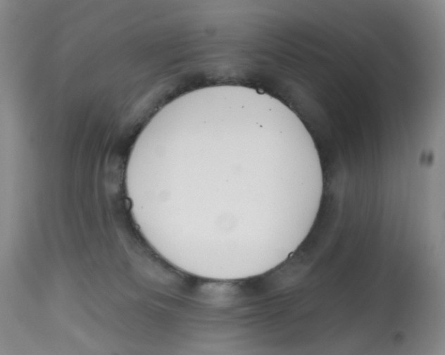 X0000112520133200909141231