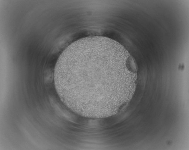 X0000112520134200909141231