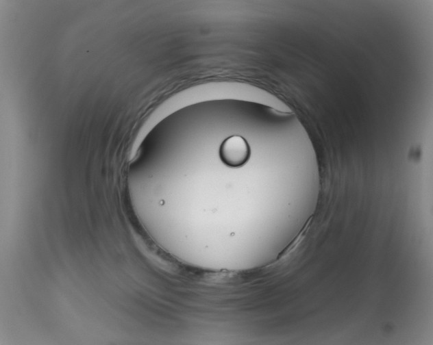 X0000112520136200909141231