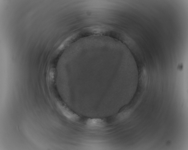 X0000112520137200909141231