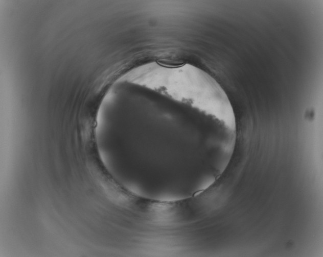 X0000112520139200909141231