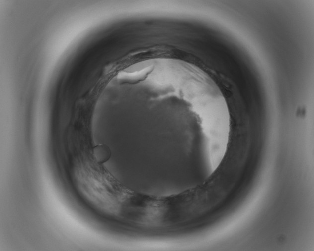 X0000112520143200909141231