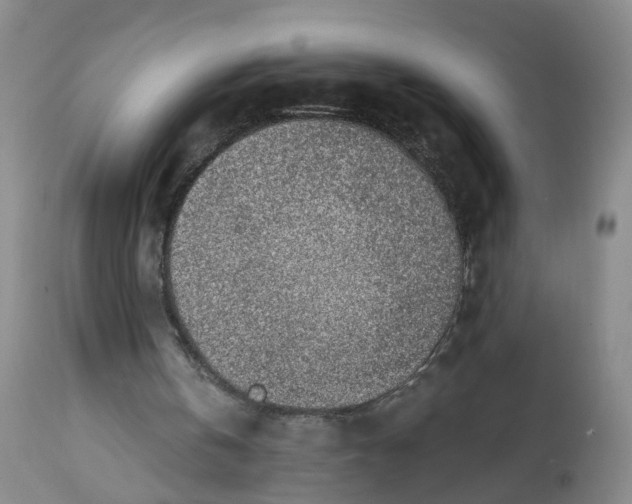 X0000112520146200909141231