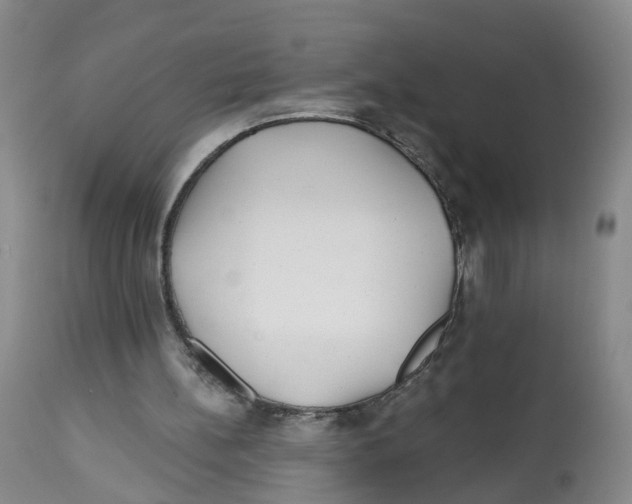 X0000112520148200909141231
