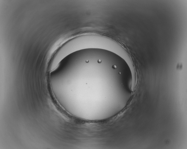 X0000112520150200909141231