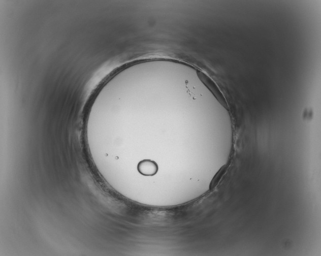 X0000112520152200909141231