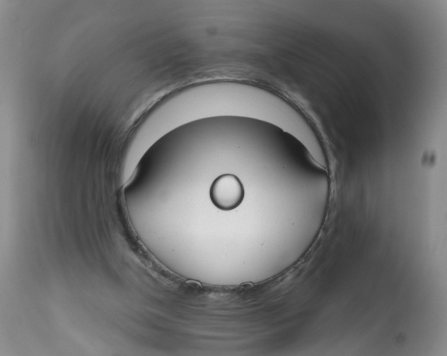 X0000112520154200909141231