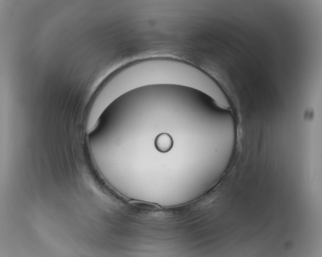 X0000112520156200909141231