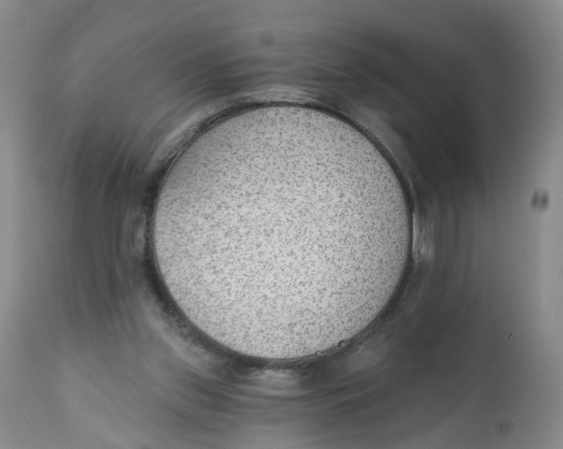 X0000112520157200909141231