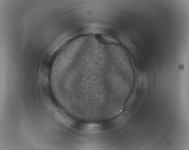 X0000112520158200909141231