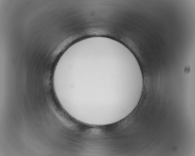 X0000112520159200909141231
