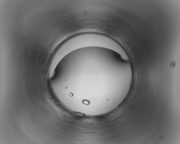 X0000112520160200909141231