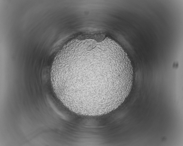 X0000112520165200909141231