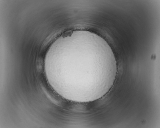 X0000112520166200909141231