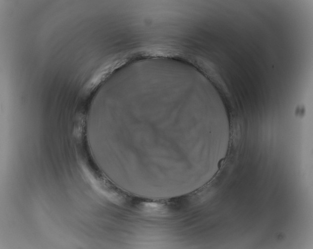 X0000112520167200909141231