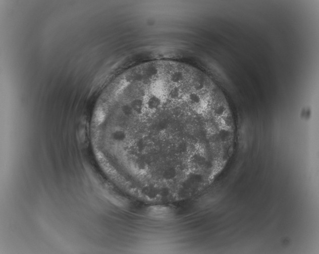 X0000112520169200909141231