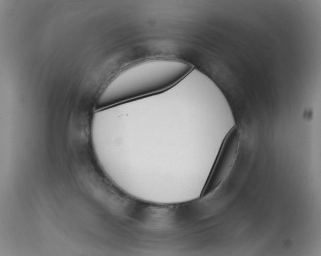 X0000112520170200909141231