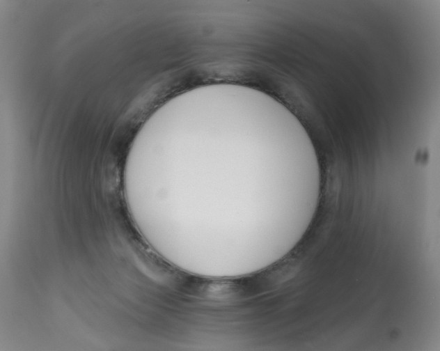 X0000112520173200909141231