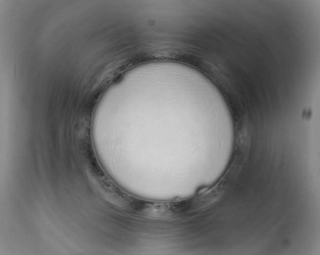 X0000112520175200909141231