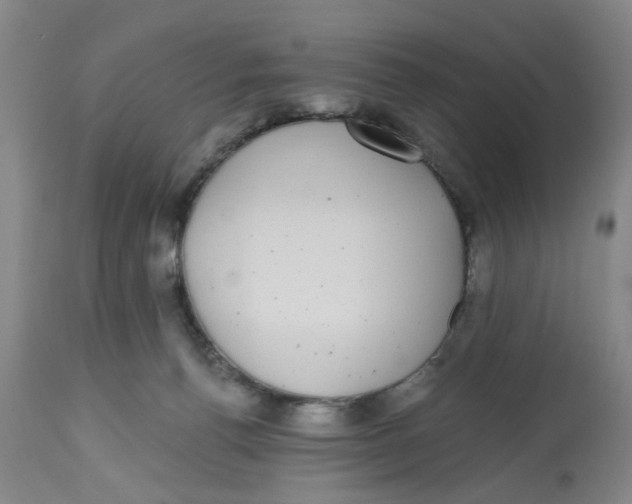 X0000112520176200909141231