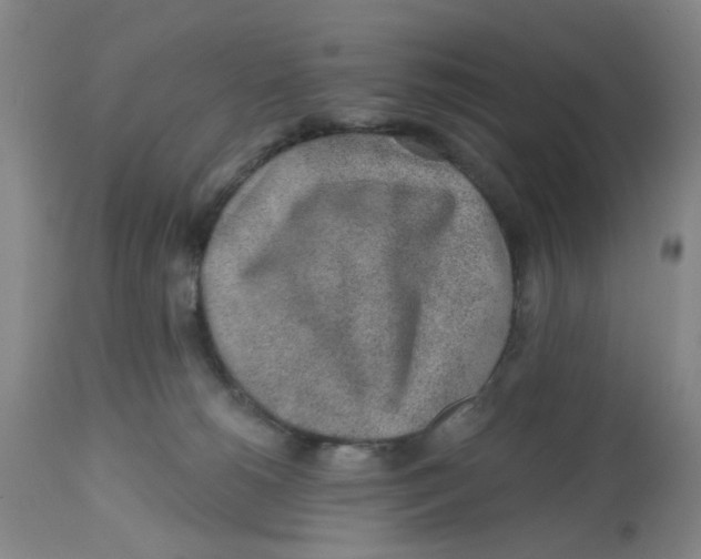 X0000112520180200909141231