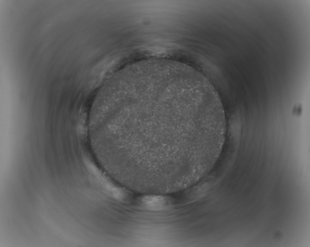 X0000112520181200909141231