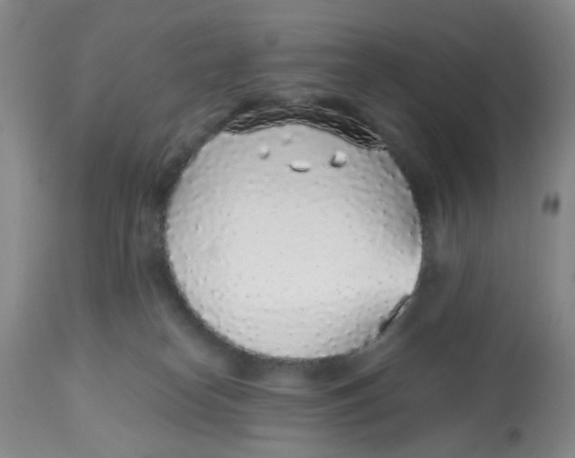 X0000112520182200909141231