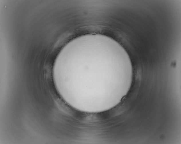 X0000112520185200909141231
