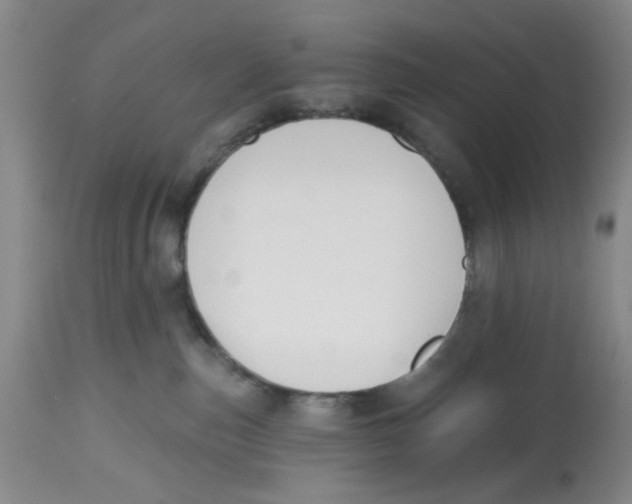 X0000112520187200909141231