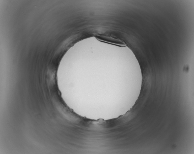 X0000112520188200909141231