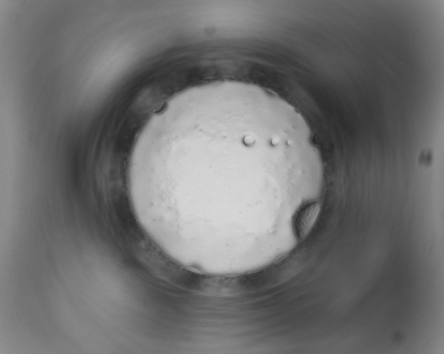 X0000112520189200909141231