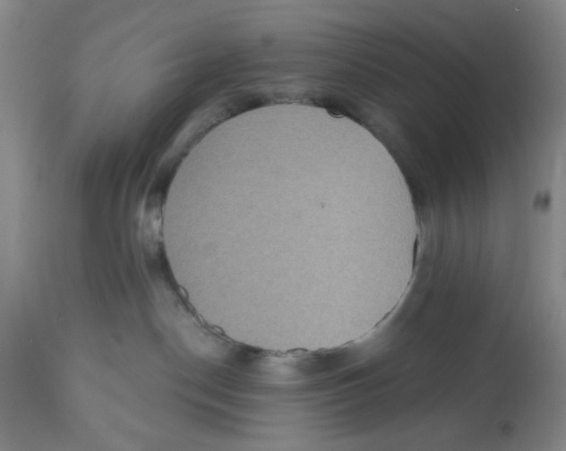 X0000112520190200909141231