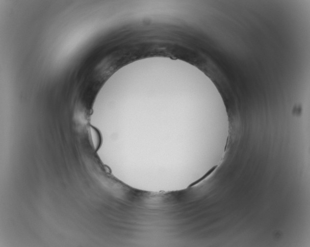 X0000112520191200909141231